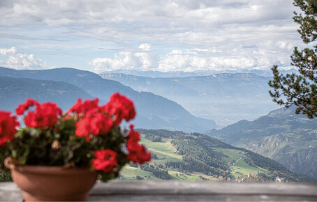 Rote Blumen in einem Blumentopf unscharf im Vordergrund mit Berglandschaft im Hintergrund.