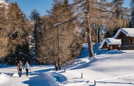 Zwei Personen wandern auf einem verschneiten Weg neben schneebedeckten Holzhütten und kahlen Bäumen im Winter.
