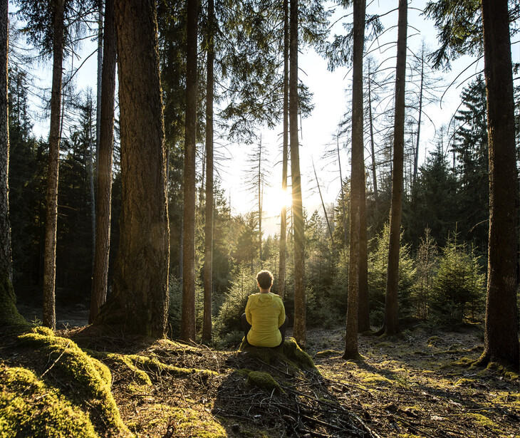 Person mit gelber Jacke sitzt auf moosbedecktem Boden im Wald vor Sonnenlicht zwischen hohen Bäumen.